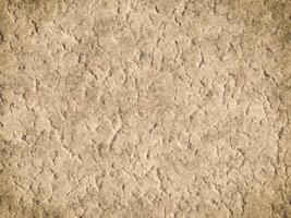 Textured cement background showing rough and cracked appearance. photo