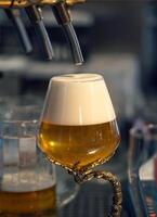 Craft beer in a stylish glass photo