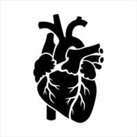 Stylized black silhouette of a human heart with visible arteries vector