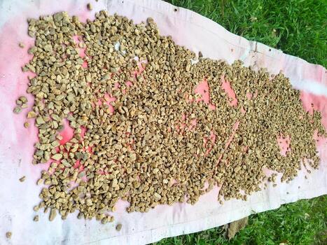 a Samples of gravel and soil on a white canvas from which surveyors collected samples of rock and soil layers in the area where the railway will be built. photo