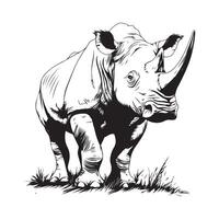 Black and white Rhino In The Grass Images vector
