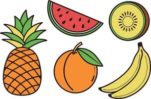 Assorted Summer Fruits Collection Healthy Organic and Ripe Fruit Set vector