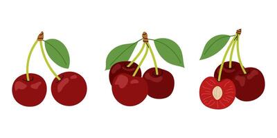 Ripe cherries. Set of illustrations of cherries berries. Seasonal fruit. Twigs of juicy cherries on a white background. vector