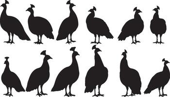 Solid Black Silhouettes of Peafowl on White Background collection vector