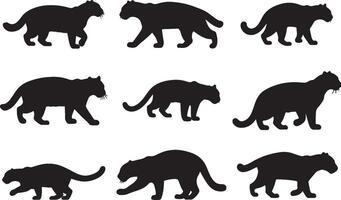 Sunda Clouded Leopard Silhouettes collection vector