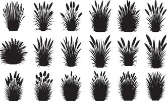 Variety of grass silhouettes collection vector