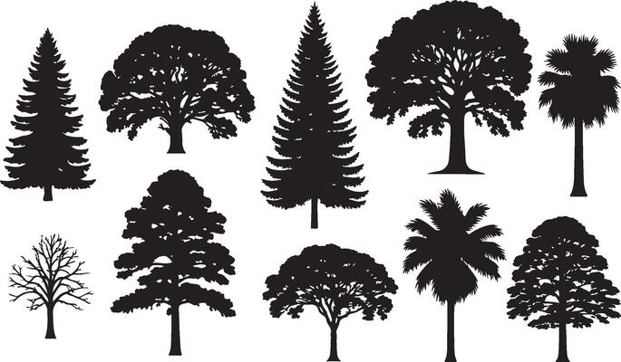 Tree Silhouette on White Background collection
