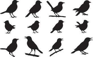 Tailorbird Silhouettes collection vector