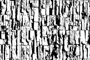 Cracked bark texture in black and white. Organic, rustic pattern with rough, natural lines. For backgrounds, overlays, or adding an aged, weathered effect. png