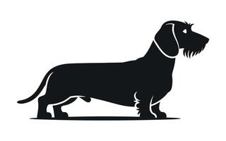 Silhouette of a Wirehaired Dachshund Dog vector