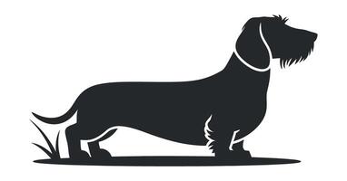 Silhouette of a Wirehaired Dachshund standing on grass vector