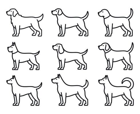 Collection of various dogs breeds in outline style