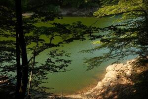 A beautiful lake is nestled in a serene forest, surrounded by trees photo