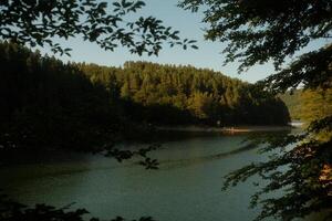 A picturesque lake is centrally located in a dense, treefilled forest photo