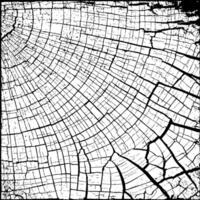 Abstract cracked earth texture. Hand-drawn organic lines form a fractured pattern, adding natural detail and visual complexity to modern graphic designs. vector