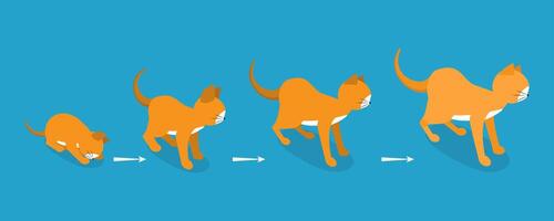 3D Isometric Flat Illustration of Cat Life Cycle, Pets in Different Ages vector