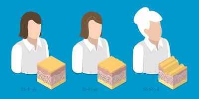 3D Isometric Flat Illustration of Woman Of Difference Ages, Process Of Getting Older Over Time vector