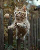 A cat jumping over a fence to catch a ball photo