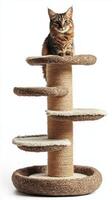 A cat is sitting on top of a cat tree photo