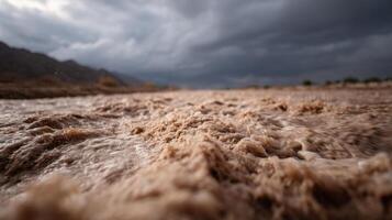 The Force of an Intense Desert Flash Flood photo