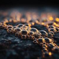 The Fleeting Jewel Like Beauty Of Bubbles On A Rock photo