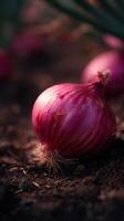 The Gardens Layered Spice From A Vibrant Red Onion photo