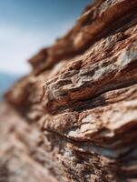 The Earths Ancient History In Sedimentary Rock photo