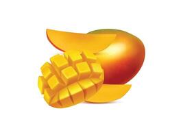 Illustration of fresh mango and slices vector