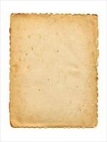 Old paper with vintage background design featuring aged texture, antique color tones, and distressed surface ideal for creative retro style illustrations vector
