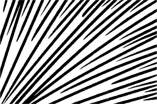 negrita negro líneas crear dinámica patrones parecido a palma frondas en contra un blanco fondo, exhibiendo resumen diseño principios en Arte vector