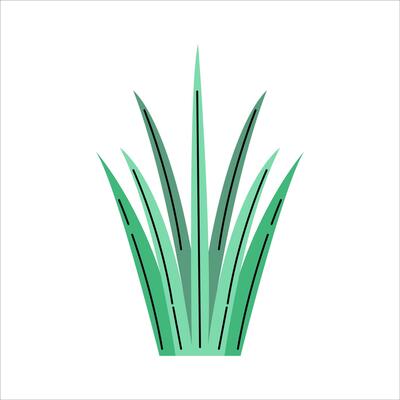 Spring Green Grass Blades