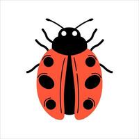 Spring Red Ladybug Insect vector