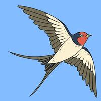 Vibrant Colorful Swallow Bird Illustration Perfect for Design or Art Print vector