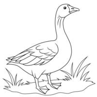 Goose Line Art Standing on Grass vector