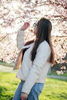 Young woman admires cherry blossoms in a park during spring, basking in soft sunlight photo