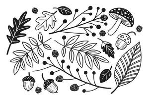 Enchanting Black and White Autumnal Forest Illustration Acorn, Leaf, and Mushroom Design Featuring Berries and Branches in a Whimsical Mood vector