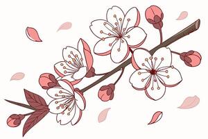 Delicate Pink Cherry Blossoms in Full Bloom, Gently Falling Petals on a Branch, Springtime Serenity vector