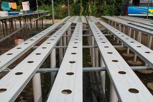 A hydroponic planting system using PVC pipes with evenly spaced holes, prepared for growing vegetables, used in modern agriculture for efficient water and nutrient photo