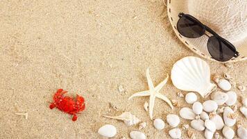 Top view of flat lay composition with starfish, crab, and seashells isolated on beach sand background photo