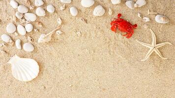 Top view of flat lay composition with summer hat, sunglasses, starfish, crab, and seashells isolated on beach sand background photo