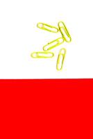 Paper Clips on White and Red Background photo
