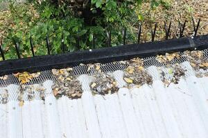 Dried Leaves on the Roof, Suitable for House Problems and Solutions. photo
