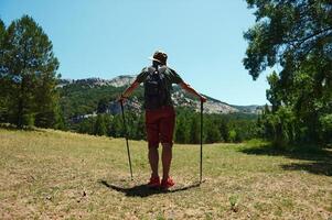 Hiker Standing in Scenic Forest with Hiking Poles Under Sunny Blue Sky photo