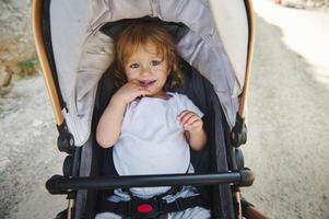 Young Child Smiling in a Stroller During an Outdoor Stroll on a Sunny Day photo