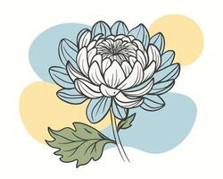 illustration of a lotus vector
