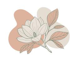 Elegant Magnolia Blossom with Abstract Soft Shapes vector