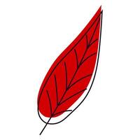 Autumn red leaf. stylized autumn leaf vector