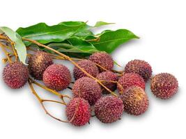 Group of ripe Lychee with stem and green leaves isolated on white background. photo