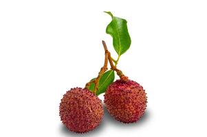 Ripe Lychee with green leaves isolated on white background. photo