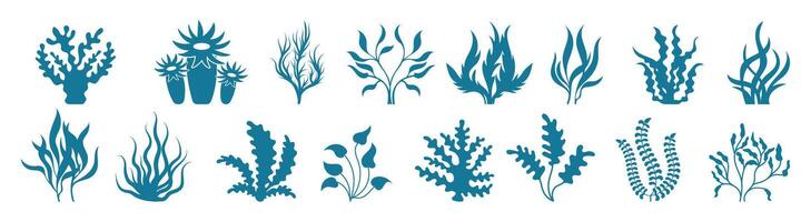 Ocean Plants and Marine Foliage Set. Underwater Seaweed and Aquatic Botanical Elements vector
